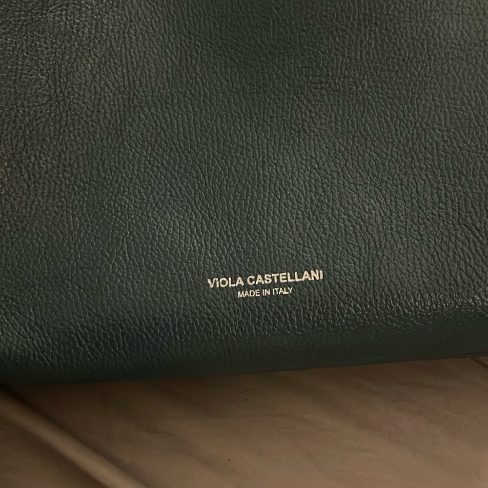 Viola castellanos green bag